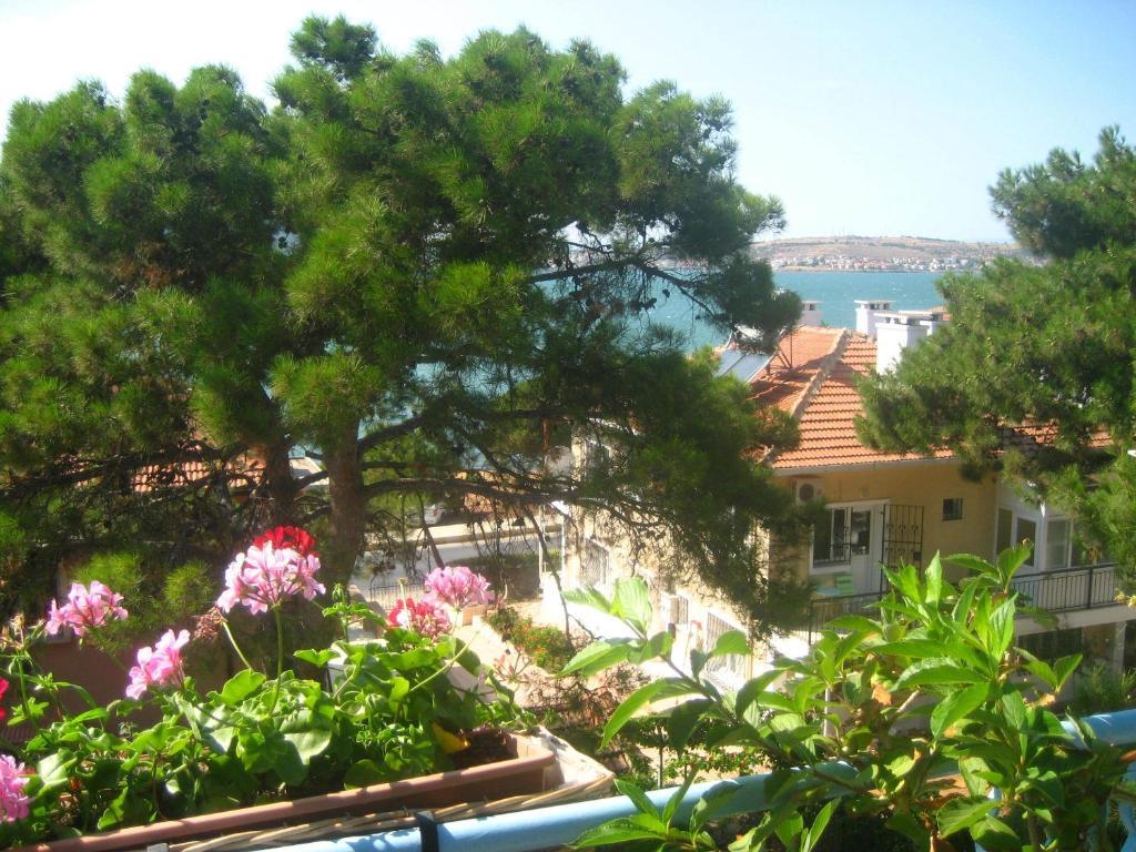 Mavi Pension Hotell Ayvalı Exteriör bild