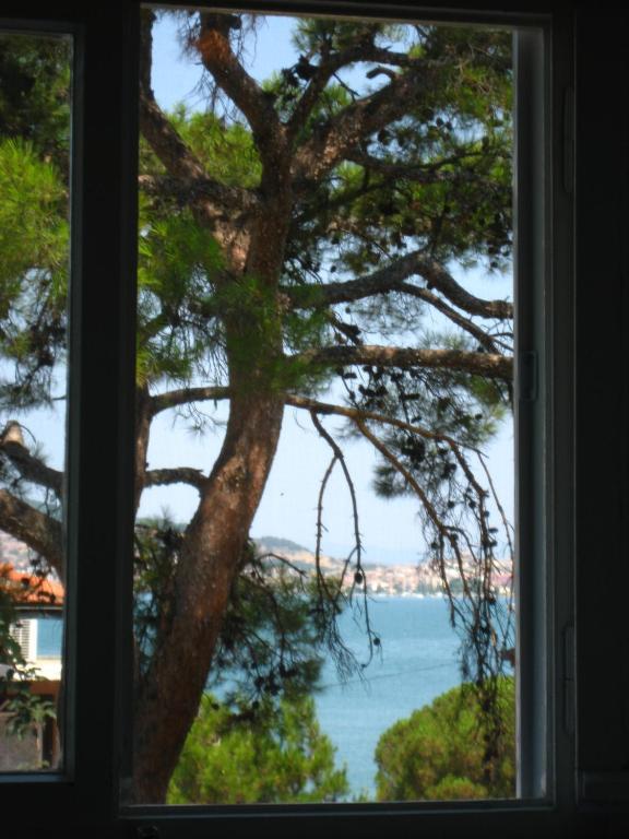 Mavi Pension Hotell Ayvalı Exteriör bild