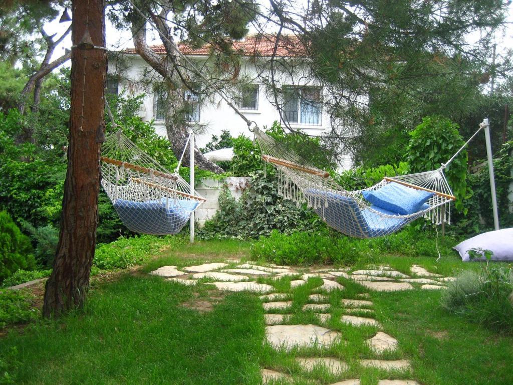 Mavi Pension Hotell Ayvalı Exteriör bild